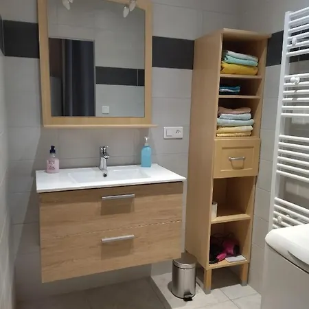 Ferienwohnung Le Logis Aux Digitales La Croix-aux-Mines Exterior foto