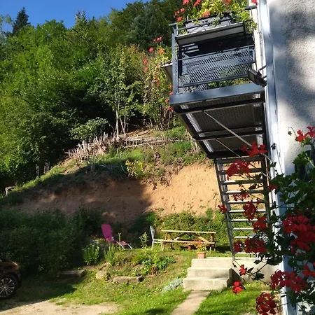 Ferienwohnung Le Logis Aux Digitales La Croix-aux-Mines Exterior foto