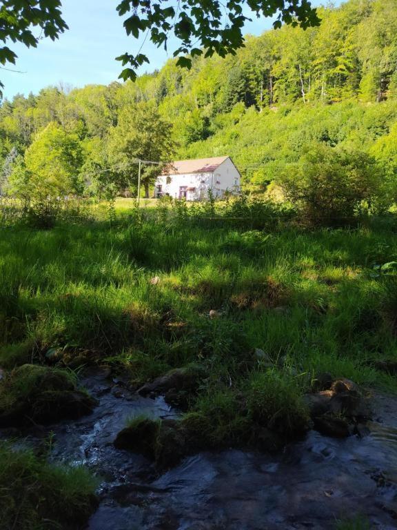 Le Logis Aux Digitales La Croix-aux-Mines