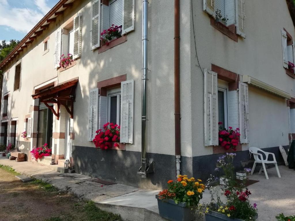 Le Logis Aux Digitales La Croix-aux-Mines