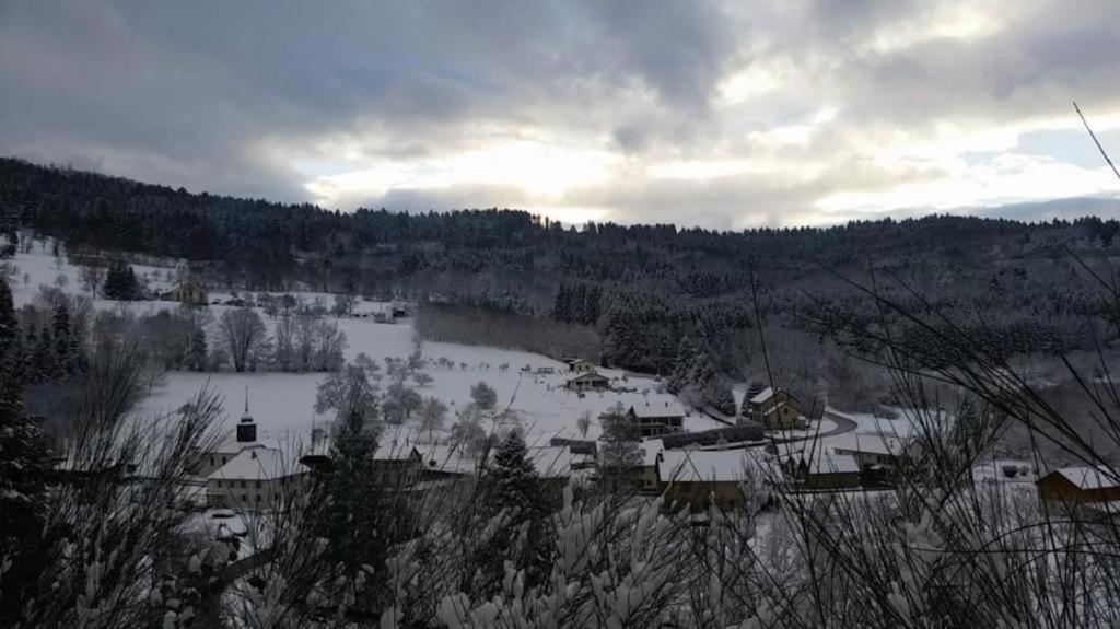 Le Logis Aux Digitales La Croix-aux-Mines